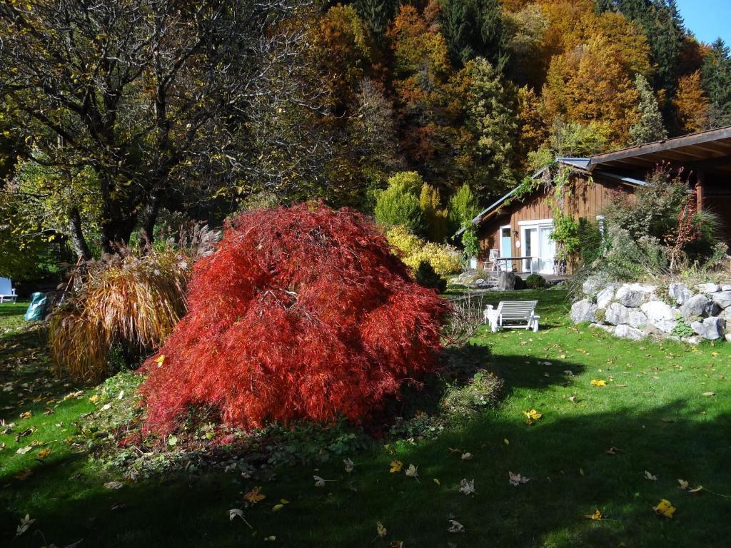 Gästehaus Bühler Oberstdorf Zimmer foto